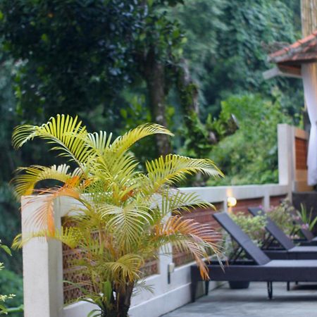 Hanaka Riverside Ubud Экстерьер фото
