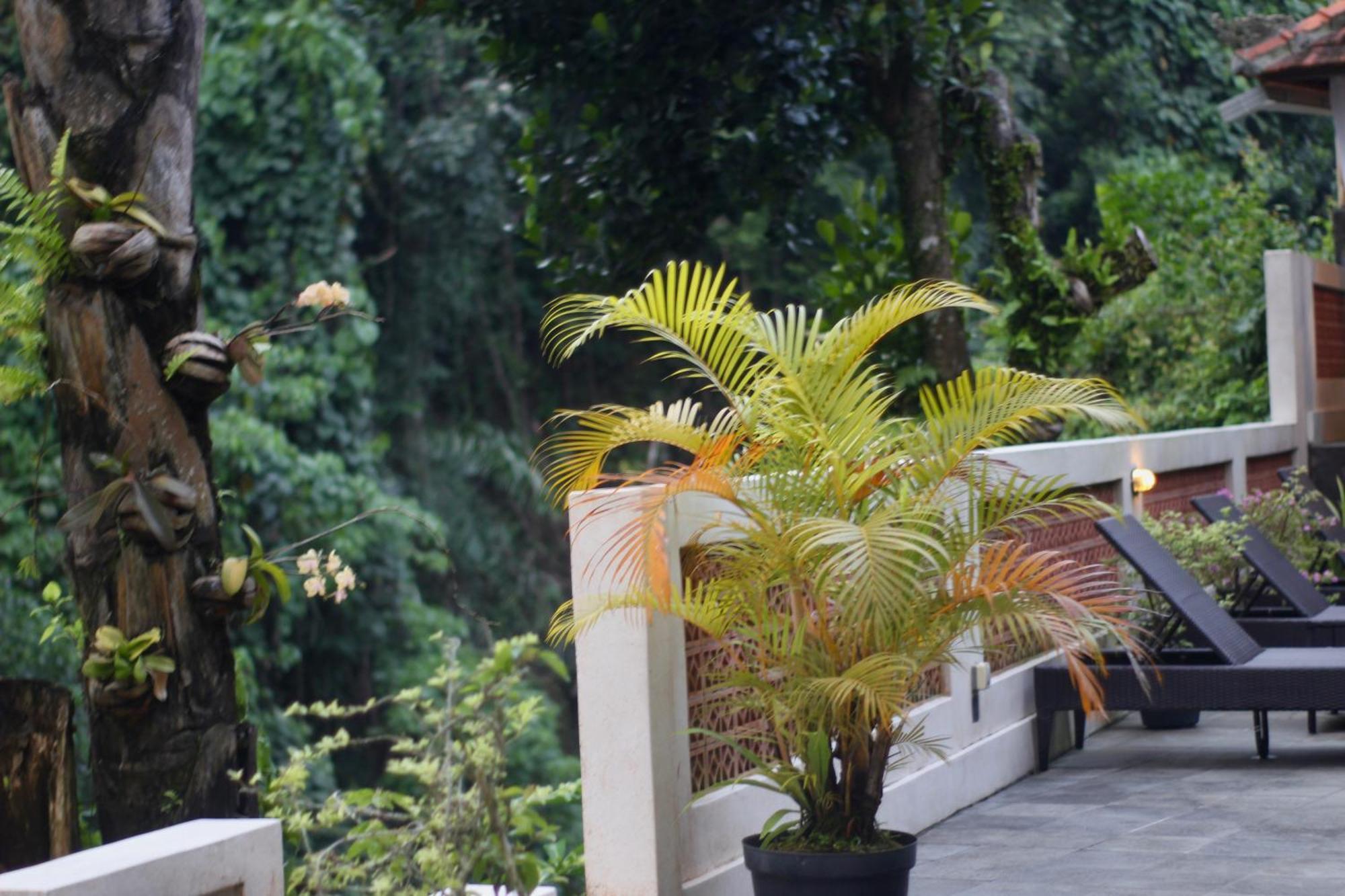 Hanaka Riverside Ubud Экстерьер фото