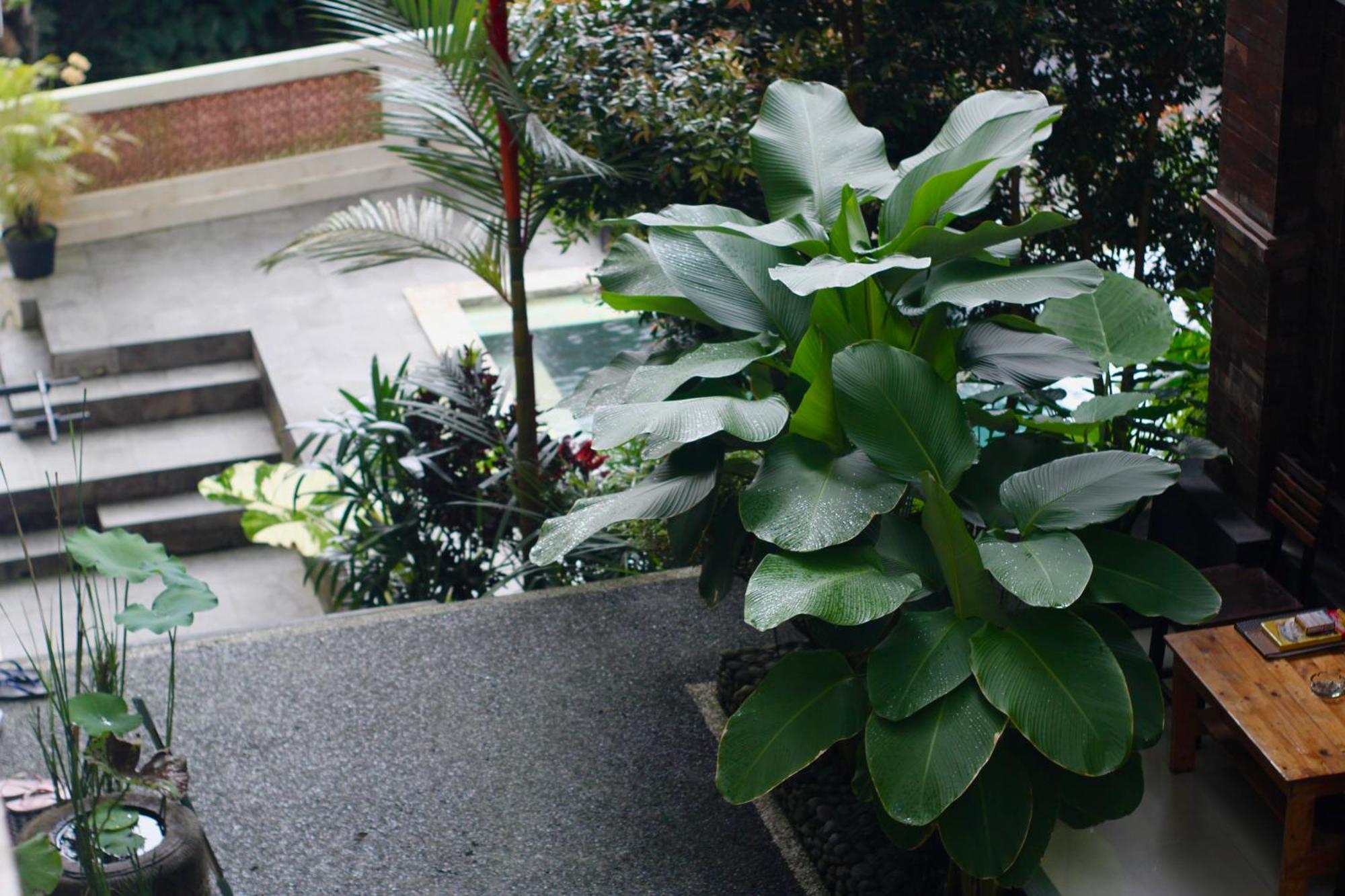 Hanaka Riverside Ubud Экстерьер фото