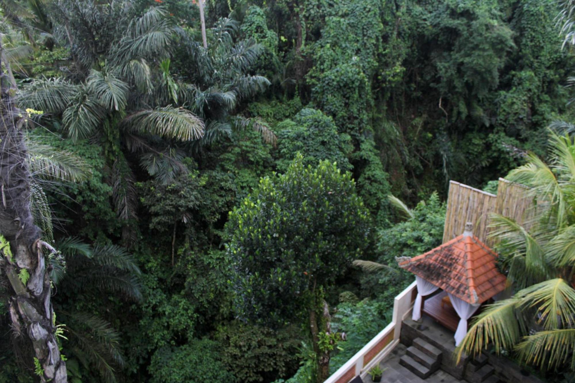 Hanaka Riverside Ubud Экстерьер фото