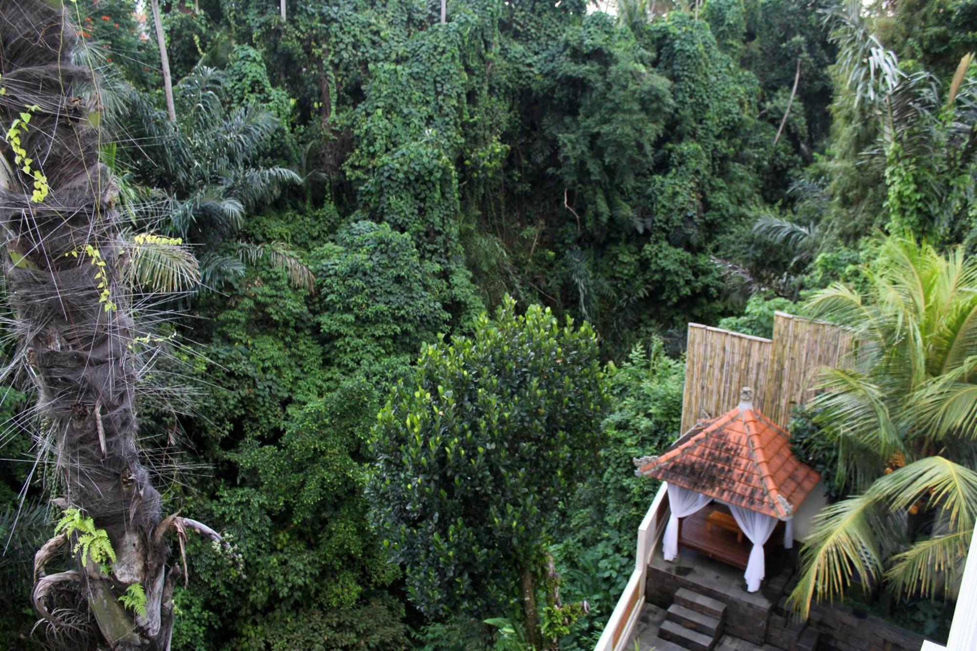 Hanaka Riverside Ubud Экстерьер фото