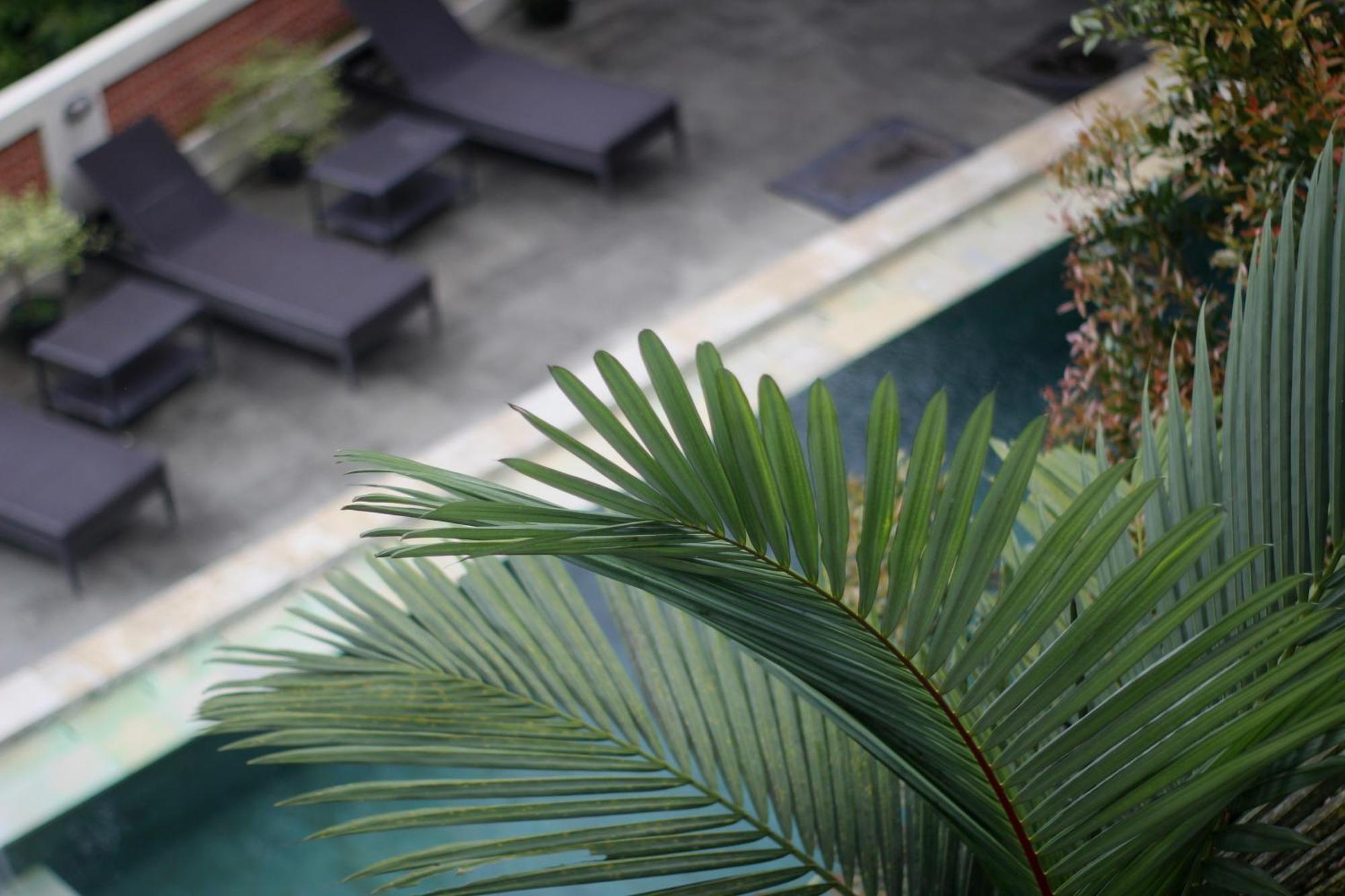 Hanaka Riverside Ubud Экстерьер фото
